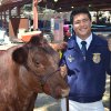 Kyle Jue waits in line to show off his steer.